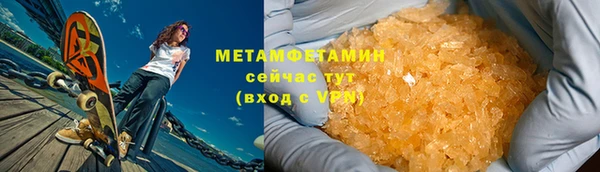 индика Новодвинск