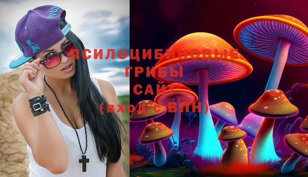 соль ск Абдулино